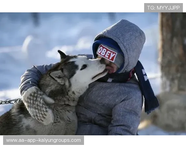 雪橇锦标：俄罗斯队稳居金牌榜，挑战纪录在望！，俄罗斯雪橇犬